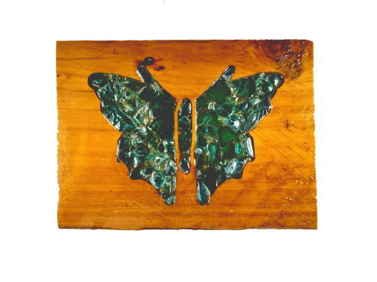 Macrocarpa Green Butterfly